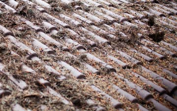 Drummuie roof cleaning companies