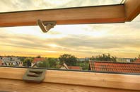 rated Drummuie roof window companies